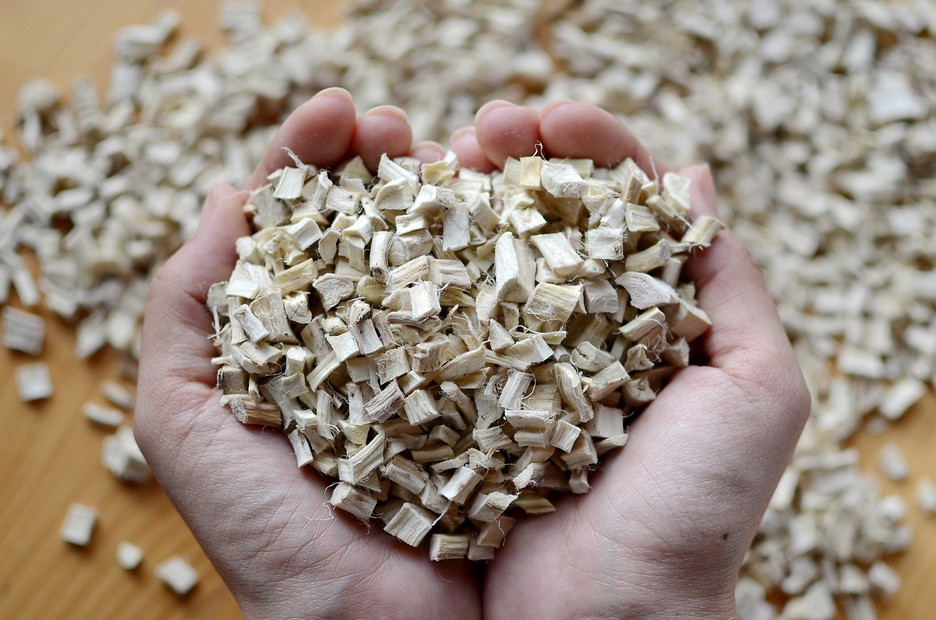 Vitality Natural Health and Wellness Center Marshmallow Root heal